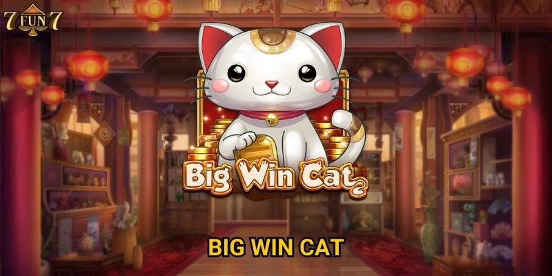 Big Win Cat có thể mang lại thắng lớn tại 7fun7?
