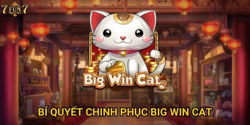 Bí quyết chinh phục Big Win Cat