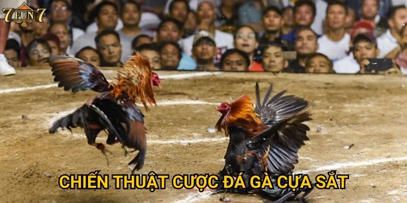 Chiến thuật cược đá gà cựa sắt
