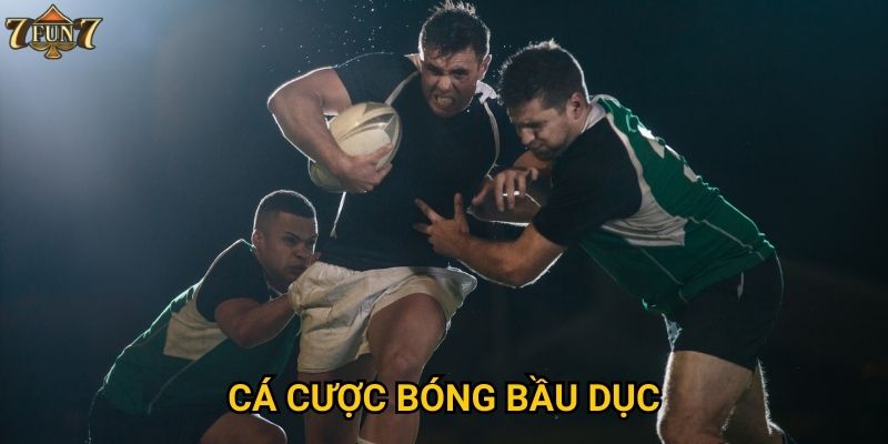 Có gì đặc biệt về cá cược bóng bầu dục tại 7fun7?