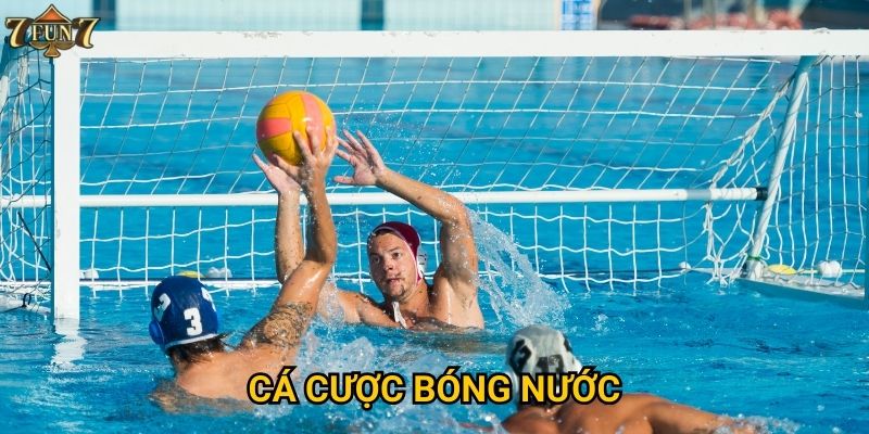 Cá cược bóng nước có phải lựa chọn thú vị tại 7fun7?