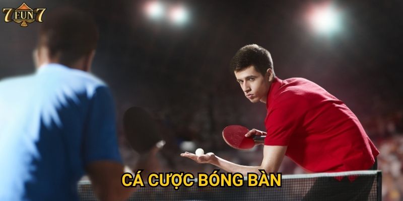 Tại sao cá cược bóng bàn lại hot tại 7fun7?