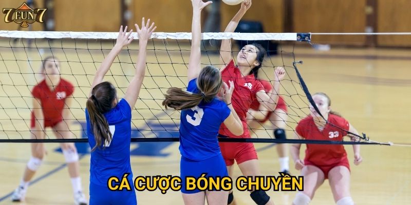 Điều gì làm cá cược bóng chuyền tại 7fun7 hấp dẫn?