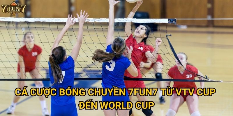 Cá cược bóng chuyền 7fun7 từ VTV Cup đến World Cup