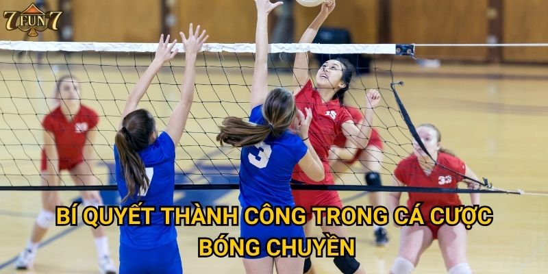 Bí quyết thành công trong cá cược bóng chuyền