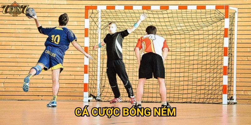 Cá cược bóng ném có đáng để thử tại 7fun7?