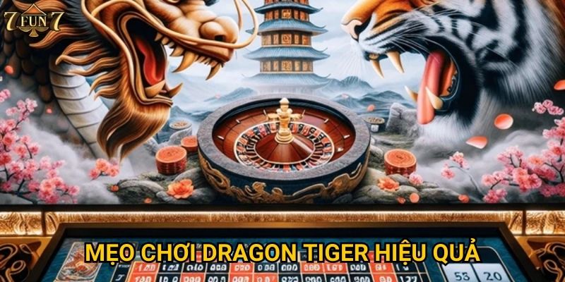 Mẹo chơi Dragon Tiger hiệu quả